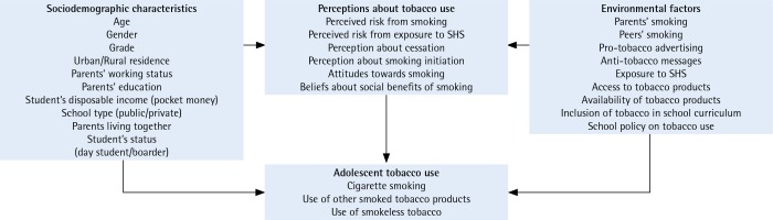https://www.tobaccoinduceddiseases.org/f/fulltexts/117959/TID-18-13-g001_min.jpg
