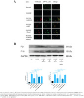 https://www.tobaccoinduceddiseases.org/f/fulltexts/218816/TID-24-74-g002_min.jpg