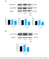 https://www.tobaccoinduceddiseases.org/f/fulltexts/218816/TID-24-74-g003_min.jpg