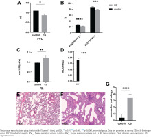 https://www.tobaccoinduceddiseases.org/f/fulltexts/221091/TID-24-123-g001_min.jpg