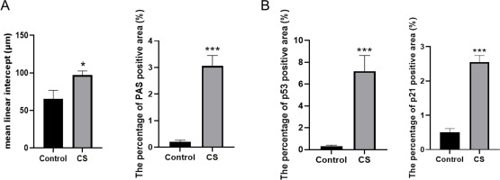 https://www.tobaccoinduceddiseases.org/f/fulltexts/226746/TID-24-60-g001_min.jpg