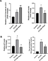 https://www.tobaccoinduceddiseases.org/f/fulltexts/226746/TID-24-60-g003_min.jpg