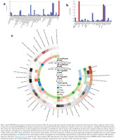https://www.tobaccoinduceddiseases.org/f/fulltexts/231217/TID-24-162-g002_min.jpg