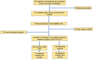 https://www.tobaccoinduceddiseases.org/f/fulltexts/235829/TID-24-196-g003_min.jpg