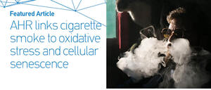 Figure from article: Activation of aryl...
